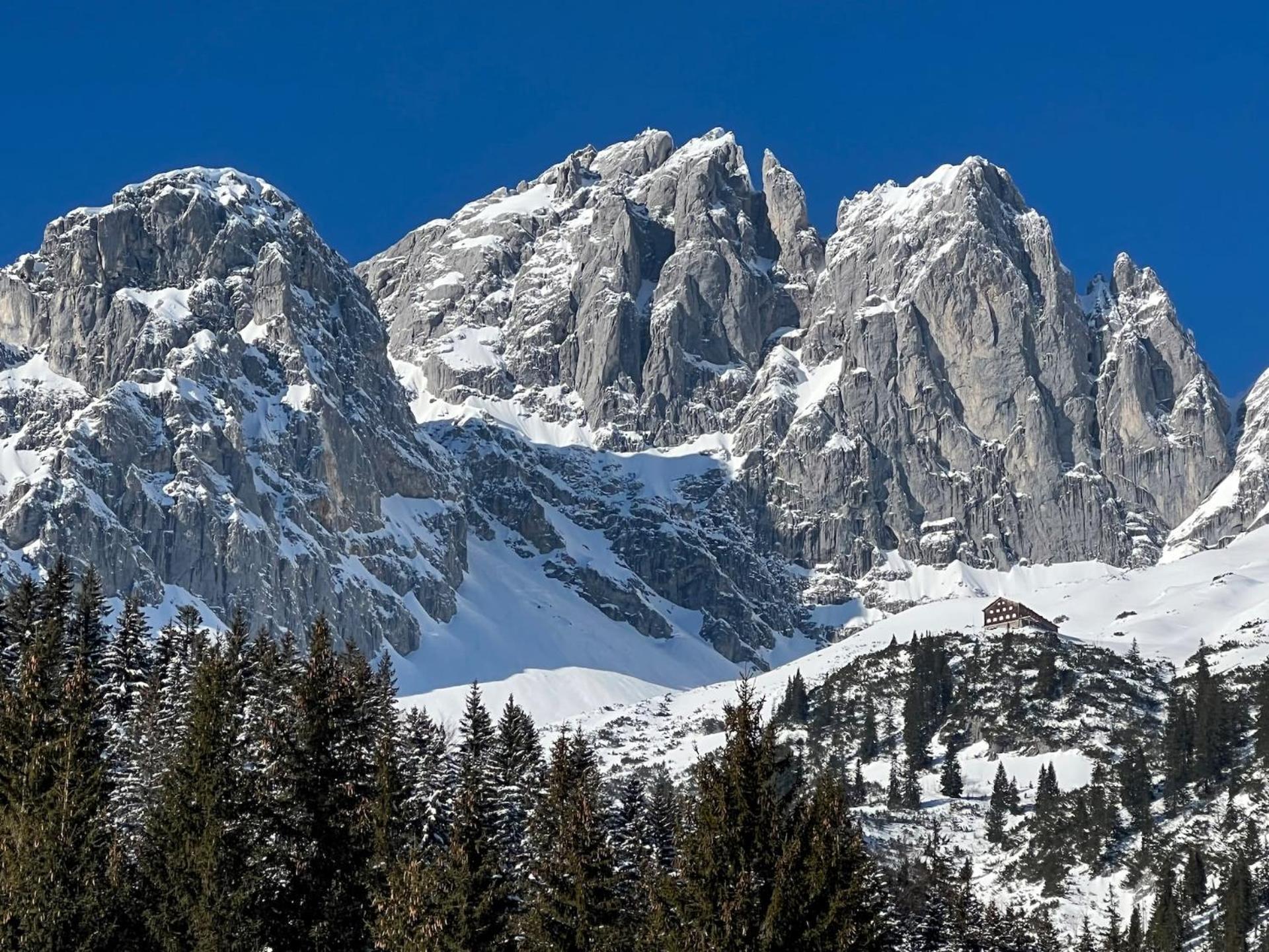 Geniessen Sie Bergblick & Sauna Im Modernen Chalet Going am Wilden Kaiser Экстерьер фото