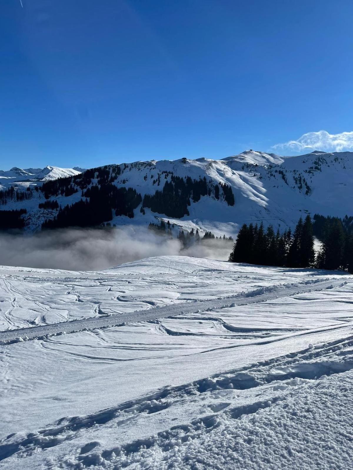 Geniessen Sie Bergblick & Sauna Im Modernen Chalet Going am Wilden Kaiser Экстерьер фото